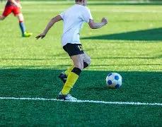 天梯巅峰战,总决赛倒计,石家庄迎来,球速体育平台,球速体育官方网站,球速体育登录入口,球速体育app下载