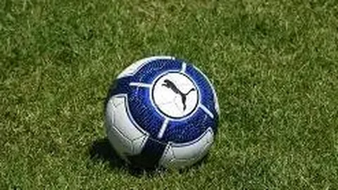 赛恩斯：11月19日机构调研活动，南方、国泰海通等在列